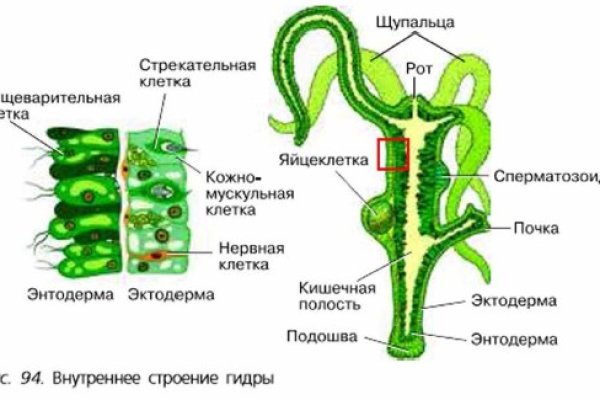 Кракен это что за магазин