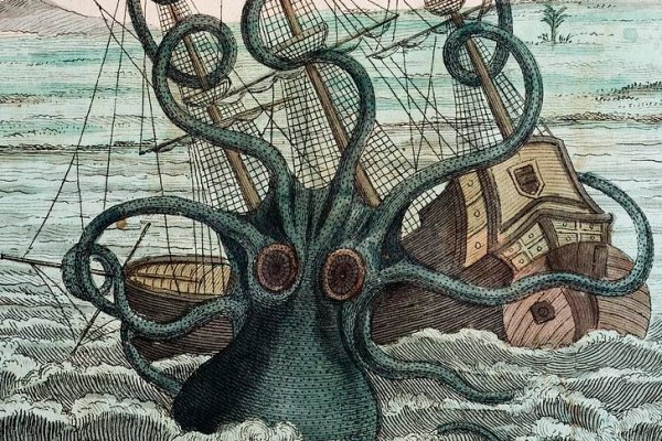 Kraken onion 2024