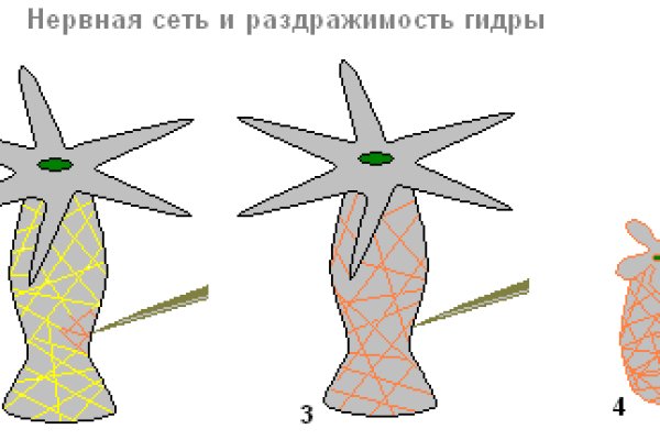 Сайт кракен 24